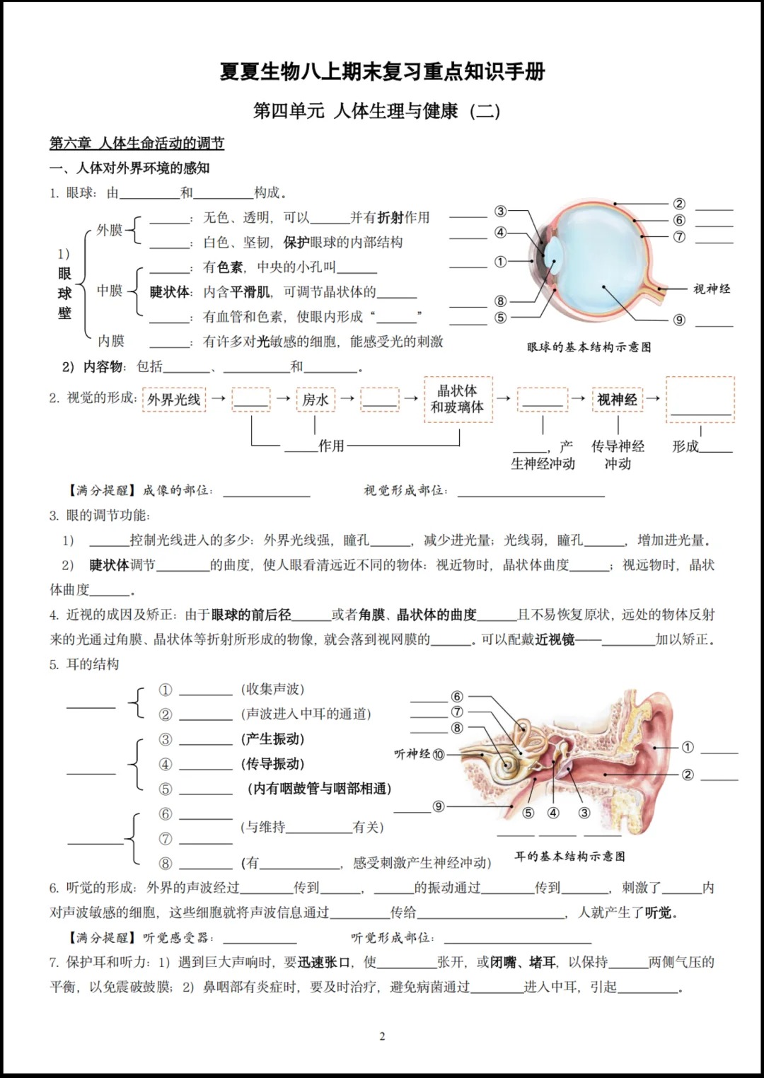 夏夏生物新八上生物知识点总结，图文超清版🔥